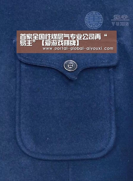首家全国性煤层气专业公司再“易主”【爱游戏棋牌】(图2) 爱游戏官网